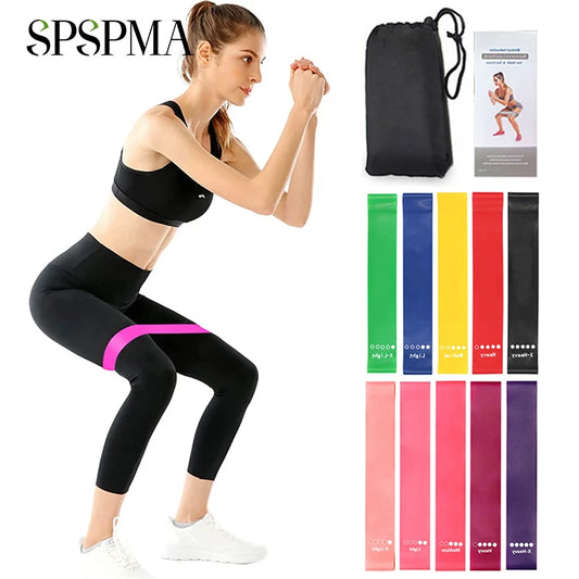 Resistance Bands Set,  5 Different Resistance Levels Elastic Band–Great Fitness Equipment for Training–Carrying Bag