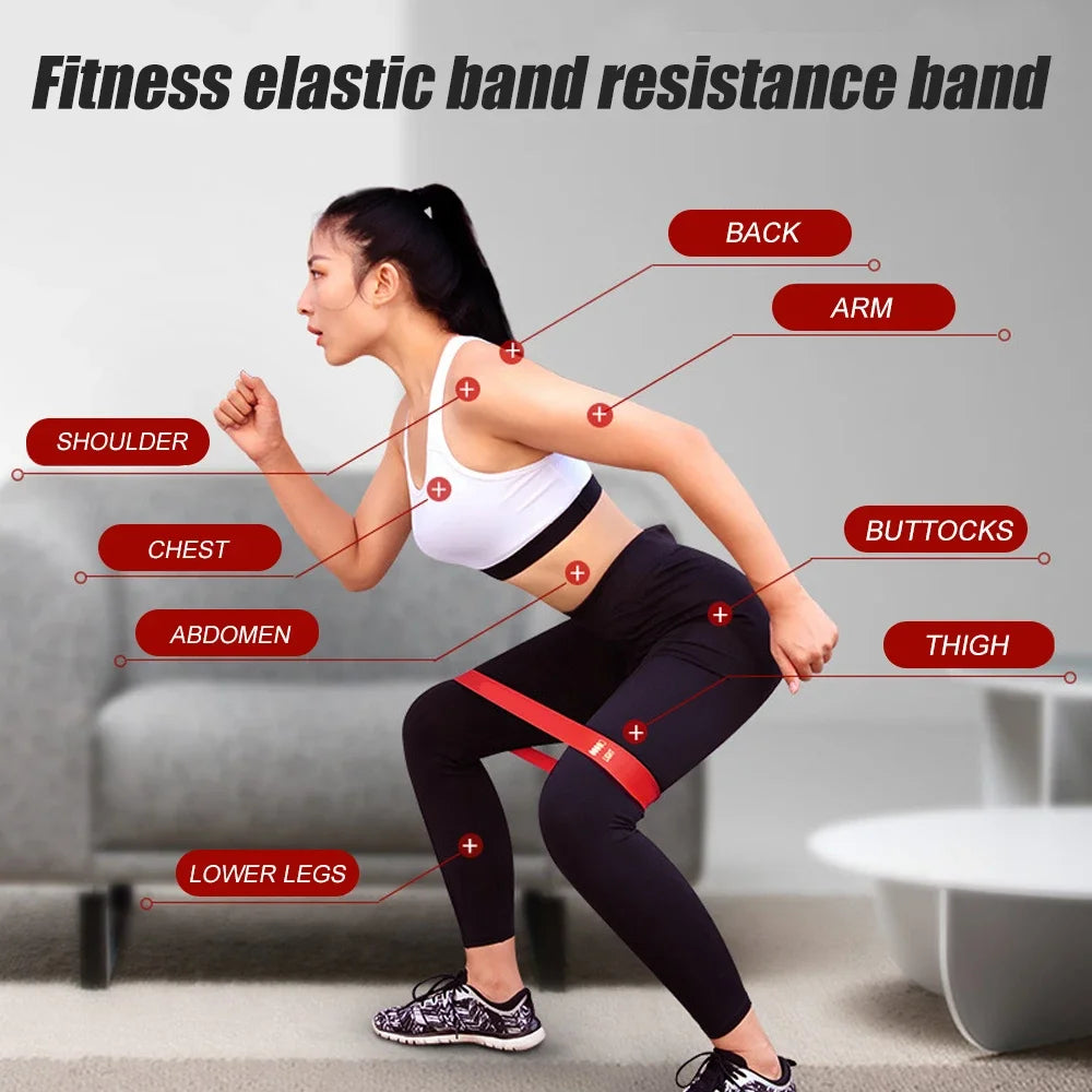 Resistance Bands Set,  5 Different Resistance Levels Elastic Band–Great Fitness Equipment for Training–Carrying Bag